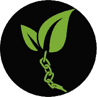 American Legal Network