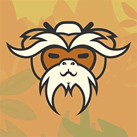 Definition of blockchain